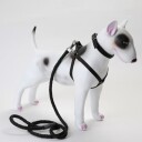 3 Delers Selesett Til Hund: Sele/Halsbånd/Kobbel
