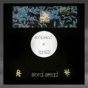 Coral Head The Worst That Could Happen Limited Edition Vinyl