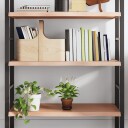 vidaXL Vegghylle lysebrun 80x50x4 cm behandlet heltre eik