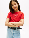 Tommy Hilfiger Essential Tee S/S   Red   176