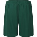 Endurance Sesto Treningsshorts Barn Grønn 152