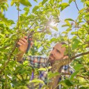 Gardena PremiumCut Pro Flex Beskjæringssaks 24mm Ergonomisk