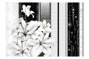 Fototapet Crying Lilies In White 400x280 - Artgeist sp. z o. o.