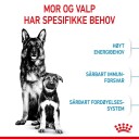 Royal Canin Maxi Starter Hundefôr for Valp og Tispe 2x15 kg