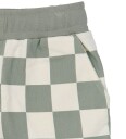 The New Tnstsebastian Shorts Green 104