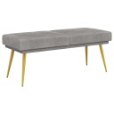 vidaXL Dobbel-lags benk Lysegrå 120 x 45 x 46 cm Fløyel
