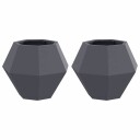 vidaXL Plantekassed 2 pcs Antrasitt 50 x 50 x 40 cm Stål