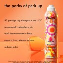 Amika Perk Up Tørrsjampo 89 ml med Risstivelse og Volum
