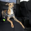 Julius-K9 Safetyharness adapter with rubber protection 63 cm