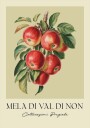 Mela Di Val Di Non Plakat Plakat / 21x30cm