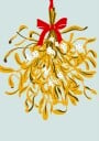 Mistletoe for Christmas Plakat Plakat / 30x40cm