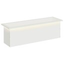 vidaXL Hageplantekasse med LED Hvit 30 x 100 x 30 cm Stål