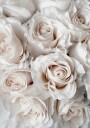 Elegant White Rose Bouquet Plakat Plakat / 100x150cm
