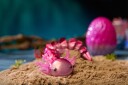 Trend Crystalynx Axolotl Asst In Cdu Multi/patterned ONE SIZE