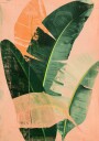 Into the jungle no 2 Plakat / 30x40cm