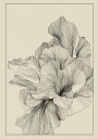 Floating coral Plakat Plakat / 21x30cm