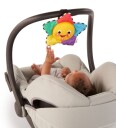 Baby Einstein Star bright Symphony musical toy