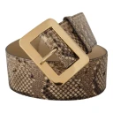 Dolce & Gabbana Dame Accessories Brun ONE SIZE,