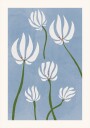White Flowers Plakat Plakat / 100x150cm