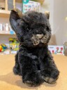 Hansa Creation Black Jaguar Cub Plush