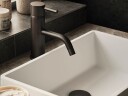 Tapwell EVM071 Servantbatteri Black Chrome
