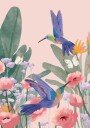 Hummingbirds Plakat / 70x100