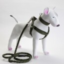 3 Delers Selesett Til Hund: Sele Halsbånd Kobbel