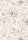 Flowers Line Art Plakat Plakat / 40x50cm