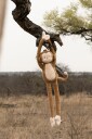Little Dutch Safari Friends Kosedyr Ape XL