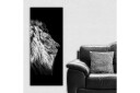 Canvasbilde DKY Animals Flerfarget   50x120 cm