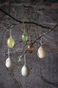 Wikholm Form Glass Egg i eske Grønn