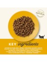Applaws Tørrfôr til kattunge Kylling 7,5 kg - Kornfritt kattemat