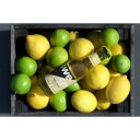 Swedish Tonic  Tonicvann økologisk 20 cl