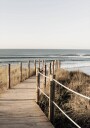 Wooden Path to the Beach Coastal Boardwalk Plakat Plakat / 21x30cm