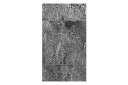Fototapet Shade Of Grey 50x1000 - Artgeist sp. z o. o.
