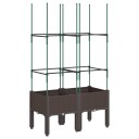 Plantekasse med espalier brun 80x40x142,5 cm PP