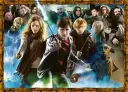 Ravensburger Puslespill Magisk student Harry Potter 1000 brikker 12000463