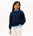 Tommy Hilfiger Genser   Strikk   Dark Natt Navy   Tommy Hilfiger   3 år (98)   Genser   Blå