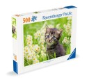 Ravensburger - Puzzle Kitten In The Meadow 500p  12000367 
