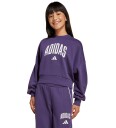 Adidas Jg Clgt Ft Swt Aurplu/White 140 Sweatshirts