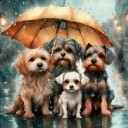 Norimpex Diamantmosaik Hundefamilie Puslespil   30x40 cm