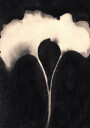 Gingko Leaves Pair I Plakat Plakat / 50x70cm