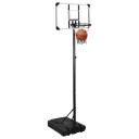 Basketballplate gjennomsiktig 235 305 cm polykarbonat