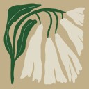 Big Blooming IV Plakat Plakat / 40x40cm
