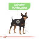 Royal Canin Mini Digestive Care Tørrfôr 8 kg til hunder