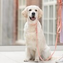 Tyylivoitto Hundekobbel Flettet Fresken (16Mm X 200Cm)