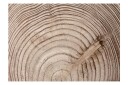 Fototapet Wood Grain 200x140 - Finnes i flere størrelser
