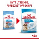Royal Canin Medium Starter Tørrfôr til gravide tisper og valper 4 kg