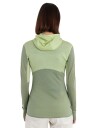 Icebreaker Women's Merino 200 Realfleece™ Descender Long Sleeve Zip Hoodie Glazen/Lichen/Cb M