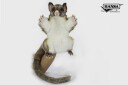 Brush Tailed Possum Hand Puppet | Hansa Creation